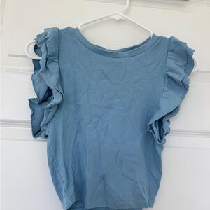 Zara Blue Ruffle Sleeve Crop Top